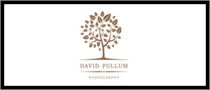 David Pullum