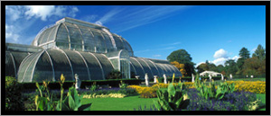 Royal Botanical Gardens Kew